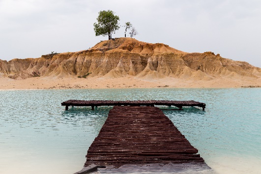 A dock over water with a tree on top of it

Description automatically generated